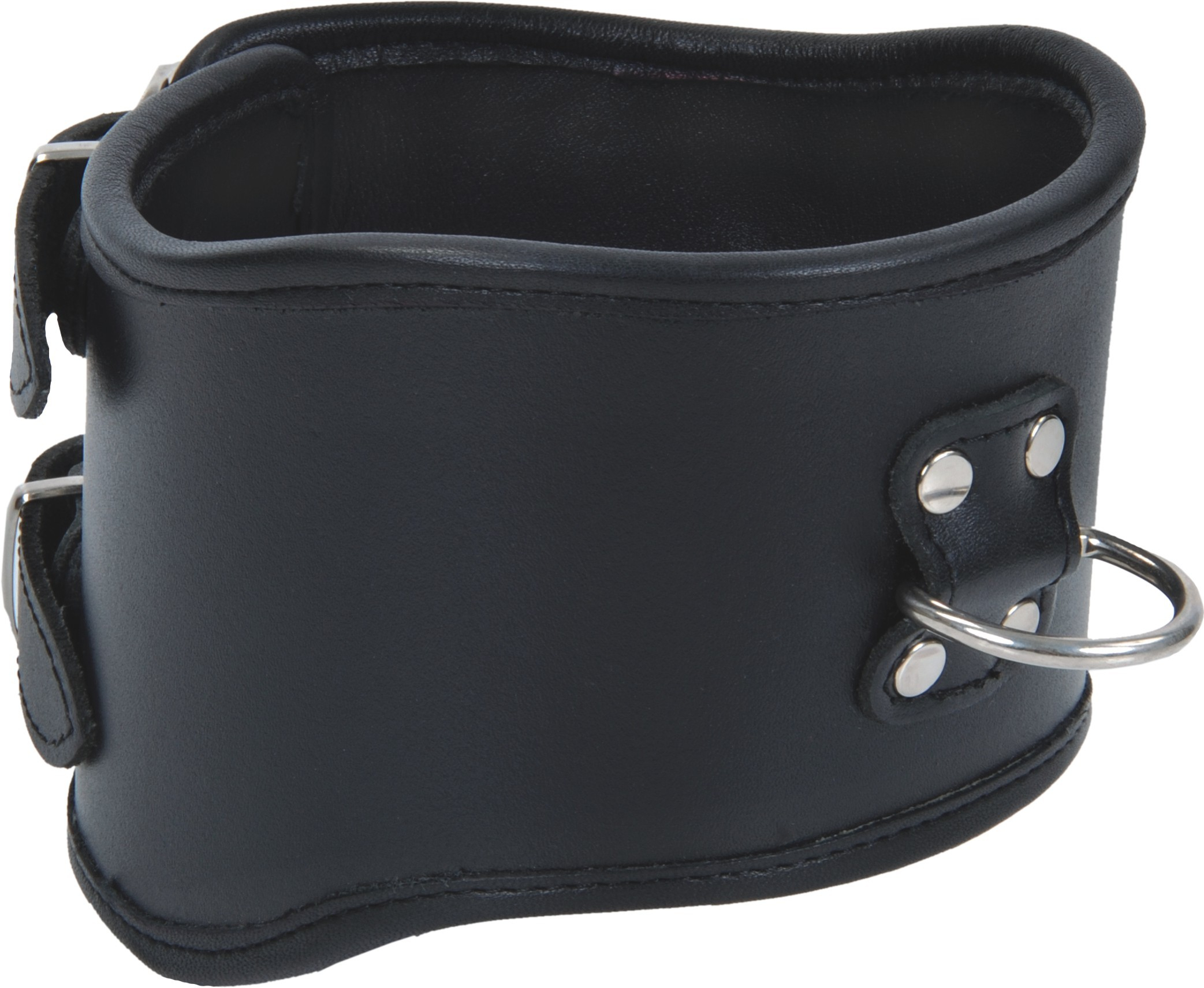 Schwarze gepolsterte Lederhalskrause mit stabilem D-Ring und Schnallenverschluss – BDSM Halsband