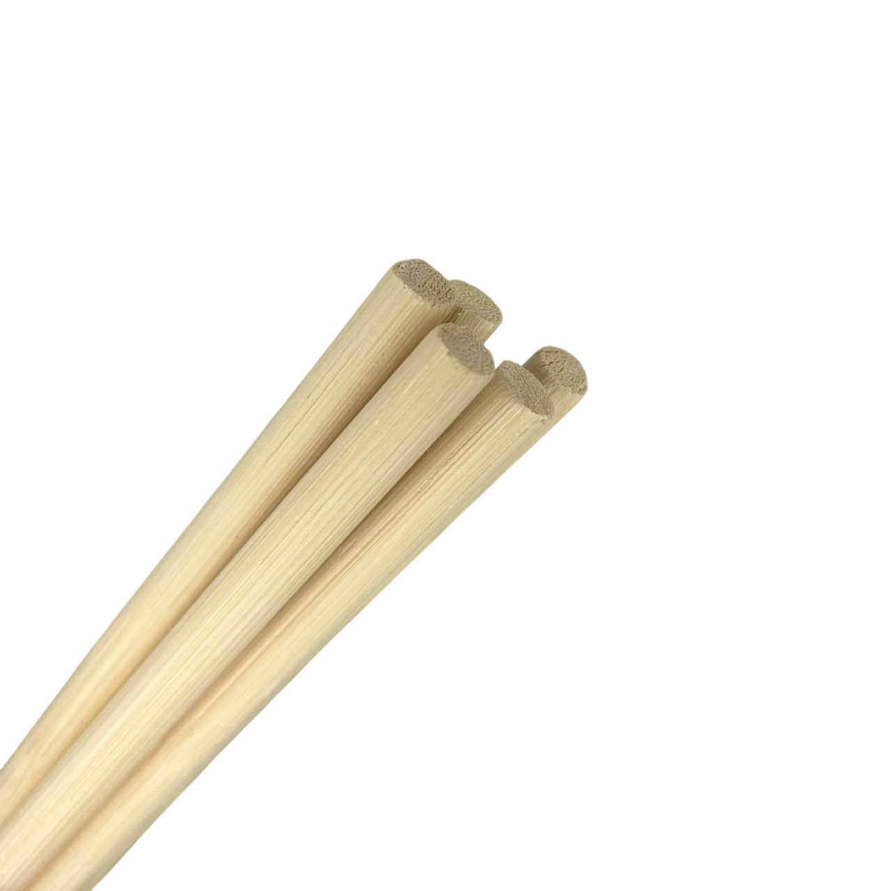 Manila Rohrstöcke im 5er Pack