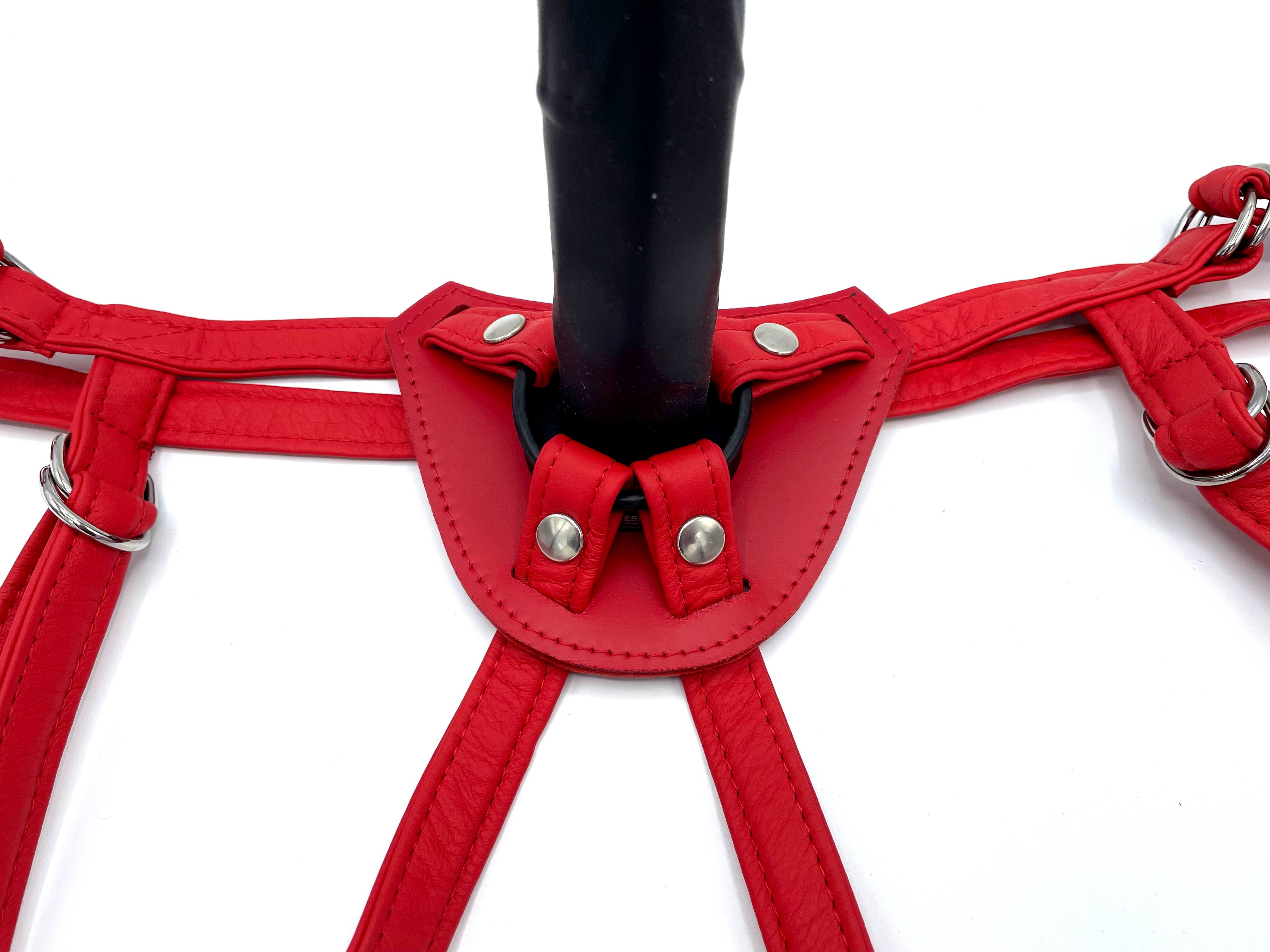 Detailaufnahme des roten Dildo-Harness mit eingesetztem Dildo, gepolsterter Bauchplatte und Druckknöpfen zur Ringbefestigung.